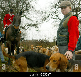 Der zwölfjährige Sam Gordon streichelt am Anfang der Cheshire Forest Hunt im Dorf Lach Denis bei Northwich die Hunde. * schätzungsweise 250,000 Menschen versammelten sich im ganzen Land für das, was könnte die letzte traditionelle Boxing Day Jagd Treffen in ihrer jetzigen Form sein. Ein neues Jagdgesetz, das Anfang dieses Monats von der Regierung eingeführt wurde, wird, wenn es Gesetz wird, die Natur der Jagd mit Jagdhunden für immer verändern. Stockfoto