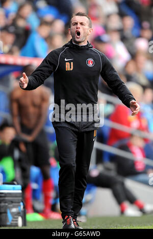 Fußball - Professional Development League Two - Play Off - Finale - Cardiff City gegen Charlton Athletic - Cardiff City Stadium Stockfoto