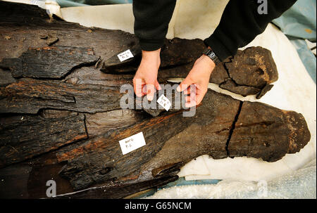 Ian Panter, Principal Conservator of York Archaeological Trust, betrachtet kürzlich entdeckte bronzezeitliche Langboote in einer Kühlanlage in Flag Fen, Peterborough, da ein zweijähriges Schutzprojekt zur Erhaltung von acht seltenen bronzezeitlichen Blockbooten in einem Steinbruch im Gange ist. Stockfoto