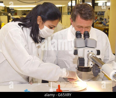 Denham - Forensic Science Service Stockfoto