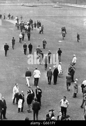 Yorkshire Cricket Fans gehen auf den Platz in Bramall Lane in Sheffield, nachdem Australien besiegt wurden. Stockfoto