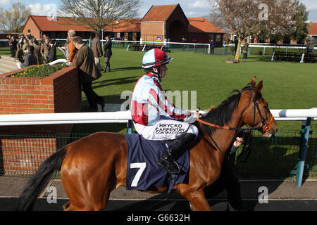 Pferderennen - 2013 Craven Meeting - Tag Zwei - Newmarket Racecourse. Lady Cavallo wird von dem Jockey Matthew Davies vor dem Einsatz der Rossdales Maiden-Stutfohlen um den Paradering geführt Stockfoto