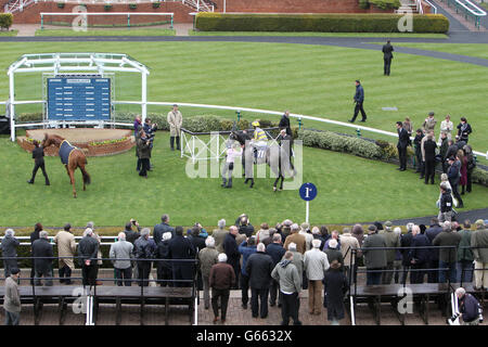 Pferderennen - 2013 Craven Meeting - Tag Zwei - Newmarket Racecourse. Tickled Pink, das Tom Queally in der Siegerkapelle nach dem Gewinn der Connaught Access Flooring Abernant Stakes gefahren hat Stockfoto