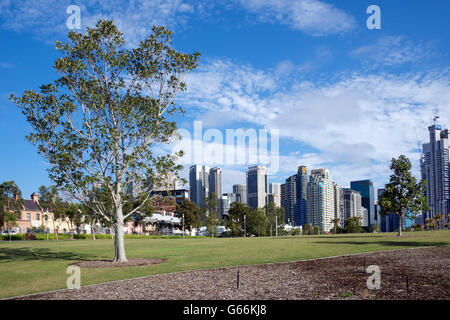 Barangaroo Reserve und Stadt Skyline Sydney NSW Australia Stockfoto