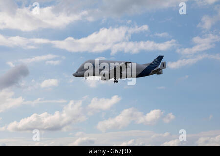 Hamburg, Deutschland - 18. Juni 2016: Beluga Transport Flugzeug Nummer 1 landet auf dem Airbus-Werk in Hamburg-Finkenwerder Stockfoto