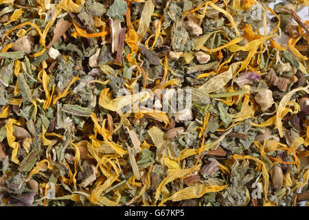 Löwenzahnwurzel Wurzel und Kraut, gemeinsame Ringelblume, Seifenkraut, Saponaria Wurzel, Milch Distel Frucht, Marian Distel Obst, Artischocke Blatt / (Taraxacum Officinale), (Calendula Officinalis), (Saponaria Officinalis), (Silybum Marianum), (Cynara Scolymus) Stockfoto