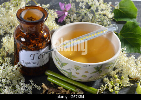 Erkältungen und Grippe Tee, Lime Tree Blossom, Holunderblüten, Holunderbeeren, Malve Blatt, Malve, Malve, Süßholzwurzel, Europäische Holunder, Holunder, Common Holunder, schwarzer Holunder, Weidenrinde / (Tilia Cordata), (Tilia Grandifolia), (Sambucus Nigra), (Salix sp Stockfoto