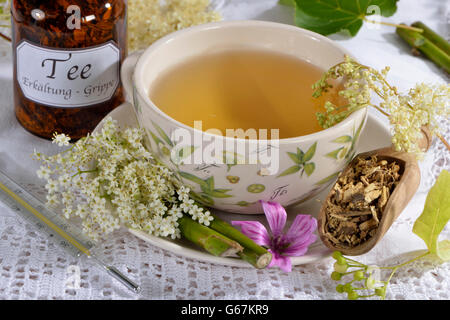 Erkältungen und Grippe Tee, Lime Tree Blossom, Holunderblüten, Holunderbeeren, Malve Blatt, Malve, Malve, Süßholzwurzel, Europäische Holunder, Holunder, Common Holunder, schwarzer Holunder, Weidenrinde / (Tilia Cordata), (Tilia Grandifolia), (Sambucus Nigra), (Salix sp Stockfoto