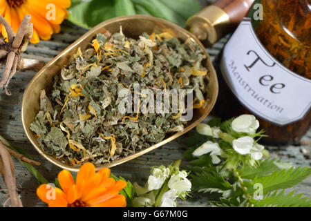 Weißen Toten Brennessel, Erzengel, Baldrian-Wurzel, Pfefferminze, Ringelblume, Alchemilla, Frauenmantel, Melisse, Lion es Fuß, Silverweed / (Calendula Officinalis), (Alchemilla Vulgaris), (Potentilla heisses) (Argentinien Vulgaris), (Fragaria heisses) (Melissa Officinalis), (Mentha Piperita), (Valeriana Officinalis), (Lamium Album) Stockfoto