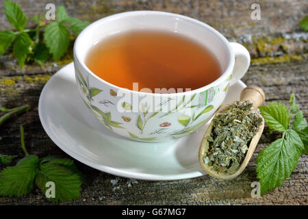 Himbeeren und Brombeeren Blätter Tee / ((Rubus Idaeus, Rubus Fruticosus) Stockfoto