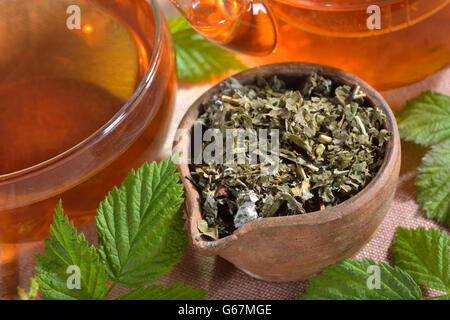 Himbeeren und Brombeeren Blätter Tee / ((Rubus Idaeus, Rubus Fruticosus) Stockfoto