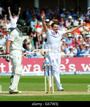 Der englische James Anderson feiert das Dickicht des australischen Peter Siddle, der von Matt Prior am zweiten Tag des ersten Investec Ashes Test-Spiels in Trent Bridge, Nottingham, gefangen wurde. Stockfoto