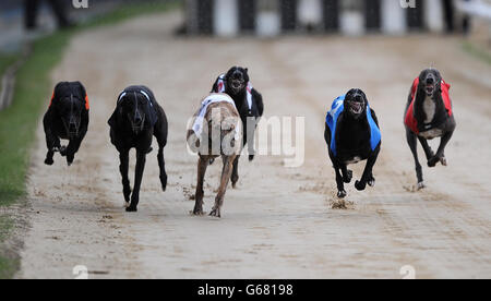 Lemon Pluto (Dritter von links) auf seinem Weg zum Sieg bei William Hill Laden Sie die App 480 Standard Div A herunter Stockfoto