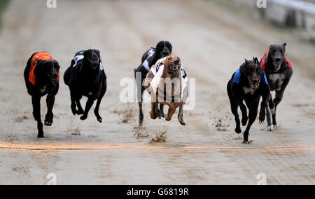 Lemon Pluto (Mitte) auf dem Weg zum Sieg bei William Hill Download der App 480 Standard Div A Stockfoto