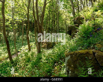 Abfahrt, Co. Londonderry, Nordirland Stockfoto