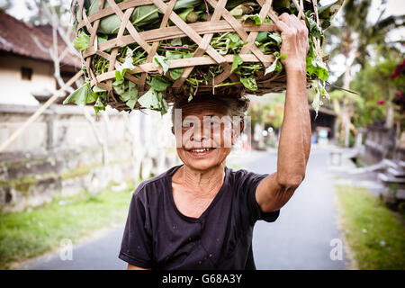 Ubud, Indonesien - 4 September: Stellt eine nicht identifizierte balinesische Frau bei einem Morgen in der Nähe von Ubud, Bali, Indonesien, Sept Stockfoto