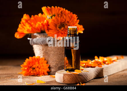 Ringelblume ätherisches Öl Stockfoto