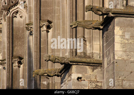 Wasserspeier an der Fassade der Kathedrale Saint-Gatien in Tours (Frankreich). Stockfoto