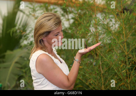 RHS Hampton Court Palace Flower Show 2013 Stockfoto