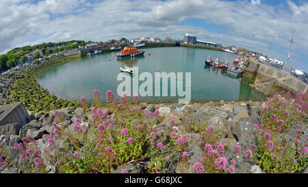 Hafen von Howth im Sommer, County Dublin, Irland. Stockfoto