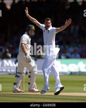 Der englische James Anderson appelliert erfolglos für das Wicket von Australiens Shane Watson am zweiten Tag des zweiten Investec Ashes Tests am Lord's Cricket Ground, London. Stockfoto