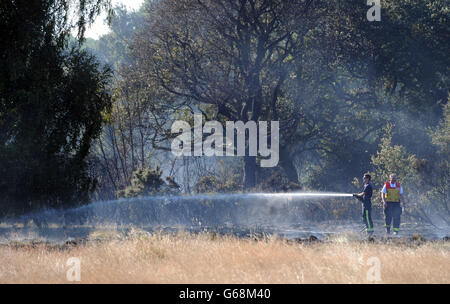 Feuerwehrleute bekämpfen ein Grasfeuer am Rande des Epping Forest in der Nähe von Wanstead im Nordosten Londons. Stockfoto