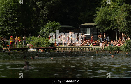 Schwimmer und Sonnenanbeter genießen das heiße Wetter in den gemischten Badeteichen von Hampstead Heath im Norden Londons. Stockfoto