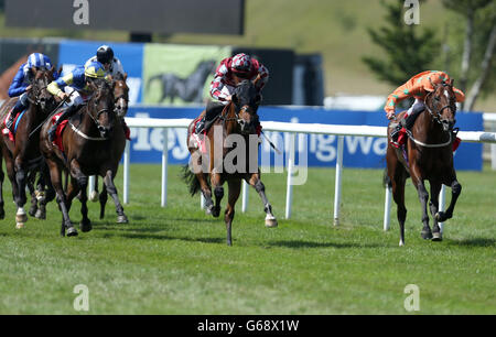 Pferderennen Sie Piper-Heidsieck 2013 - 2013 Juli Festival - Darley Cup Julitag - Newmarket Racecourse Stockfoto