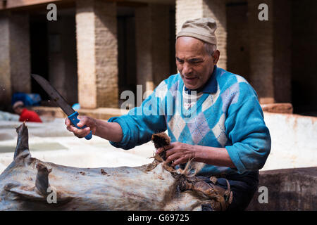 Fes, Marokko - 11. April 2016: Ein Mann, der arbeitet in einer Gerberei in der Stadt Fez in Marokko. Stockfoto