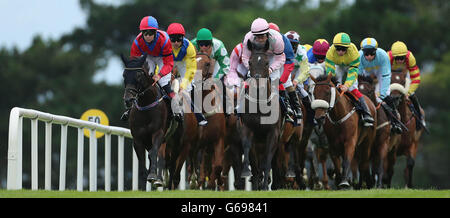 Eine allgemeine Ansicht des Handicap Caulfieldindustrial.com während des zweiten Tages des Galway Summer Festivals 2013 auf der Galway Racecourse, Ballybrit, Irland. Stockfoto