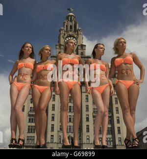 Liverpool Stadträte The Look To Die For-Kampagne Stockfoto