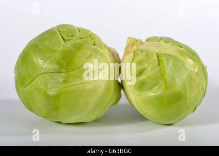 Rosenkohl / (Brassica Oleracea var. Gemmifera) Stockfoto