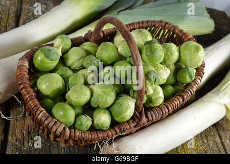 Rosenkohl, Lauch / (Brassica Oleracea var. Gemmifera, Allium Porrum) Stockfoto