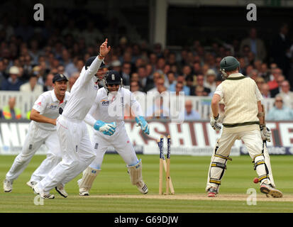 Jonathan Trott aus England (links), Ian Bell (zweite links) und Matt Prior (Mitte) feiern, als Graeme Swann (nicht abgebildet) den australischen Chris Rogers (rechts) für 6 am vierten Tag des zweiten Investec Ashes Tests am Lord's Cricket Ground in London ausschüsselt. Stockfoto