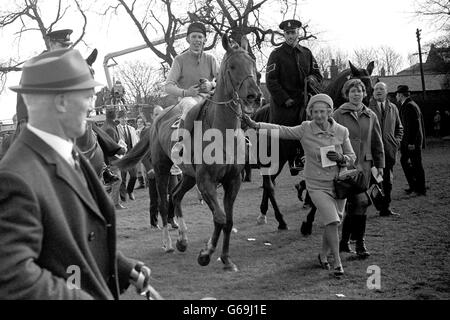 Red Alligator, mit dem glücklichen B. Fletcher im Sattel, wurde nach seinem überzeugenden Sieg im Grand National 1968 in Aintree, Liverpool, angeführt. Stockfoto