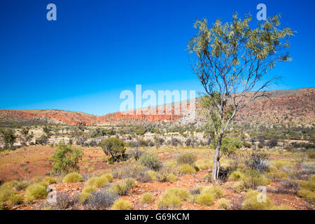 Landschaft bei Mt Sonder Lookout in der Nähe von Glen Helen in Northern Territory, Australien Stockfoto