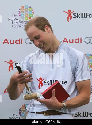 William und Harry Polo Stockfoto