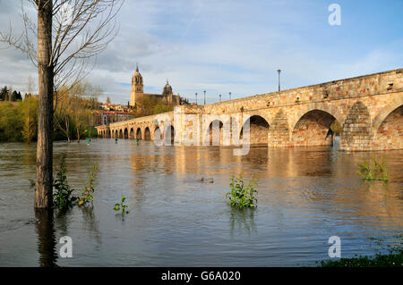 Römische Brücke und alte Kathedrale von Salamanca, Spanien. Stockfoto