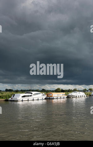 Cruiser Boote vertäut am Wroxham in den Norfolk Broads National Park Norfolk UK Stockfoto