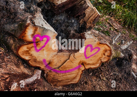 Auf den Baumstamm bemalt Stockfoto