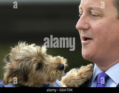 Premierminister David Cameron hält Bertie, einen neun Monate alten Yorkshire Terrier, im Battersea Dogs and Cats Home in London fest, als er heute die „fantastische“ Arbeit der Freiwilligen lobte. Stockfoto