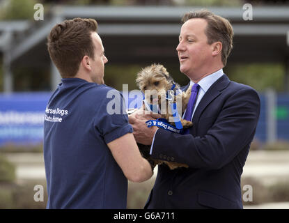 Premierminister David Cameron nimmt Bertie, einen neun Monate alten Yorkshire Terrier von dem Freiwilligen James Moore, im Battersea Dogs and Cats Home in London mit, als er heute die „fantastische“ Arbeit der Freiwilligen lobte. Stockfoto