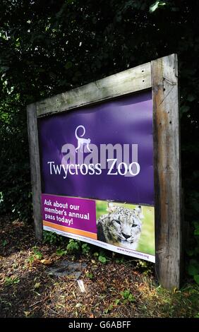 Twycross Zoo von Schimpansen Vorfall geschlossen Stockfoto