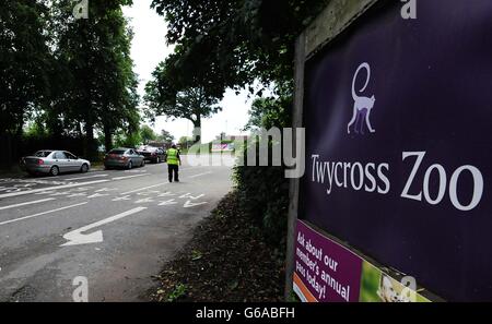 Twycross Zoo von Schimpansen Vorfall geschlossen Stockfoto