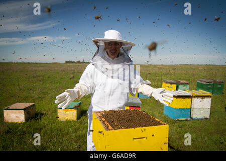 Horizontale Foto des Imkers in weißen Schutzanzuges hinter einem Bienenstock mit weit offenen Armen Stockfoto