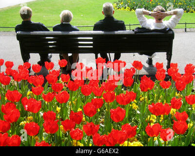 Wetter - Sonnenschein - St. Stephens Green, Dublin Stockfoto