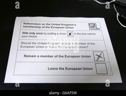 EU-Referendum Stimmzettel, London Stockfoto
