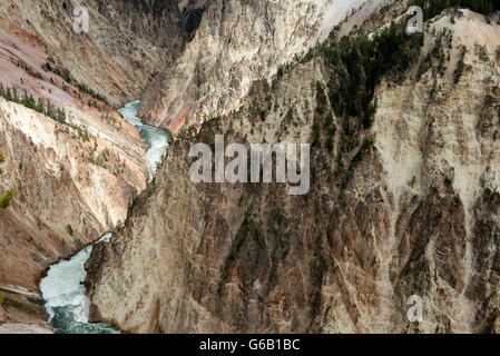 Fluss, der durch den Canyon im Yellowstone-Nationalpark, Wyoming, USA Stockfoto