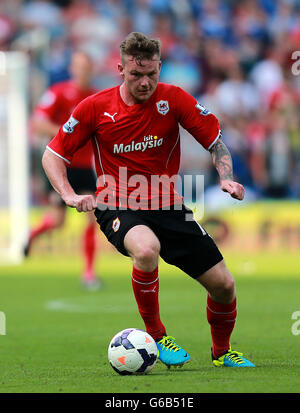 Fußball - Barclays Premier League - Cardiff City / Manchester City - Cardiff City Stadium. Aron Gunnarsson, Cardiff City Stockfoto