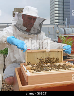 Bez fördert urban Bienen Stockfoto